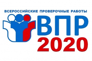 Всероссийские проверочные работы осенью 2020